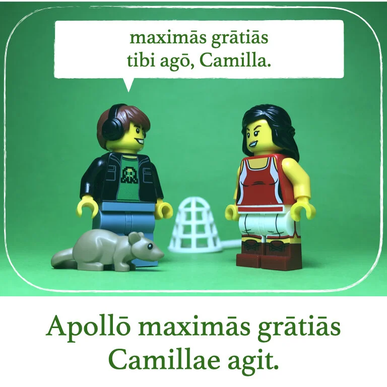 homines Legonii 13 - Camilla (macrons).017.jpeg
