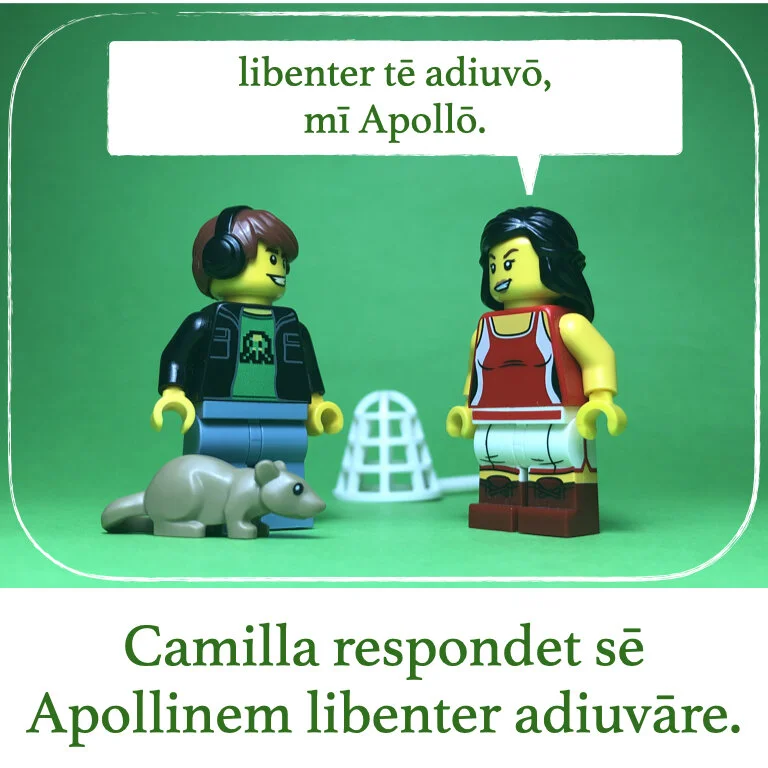 homines Legonii 13 - Camilla (macrons).018.jpeg
