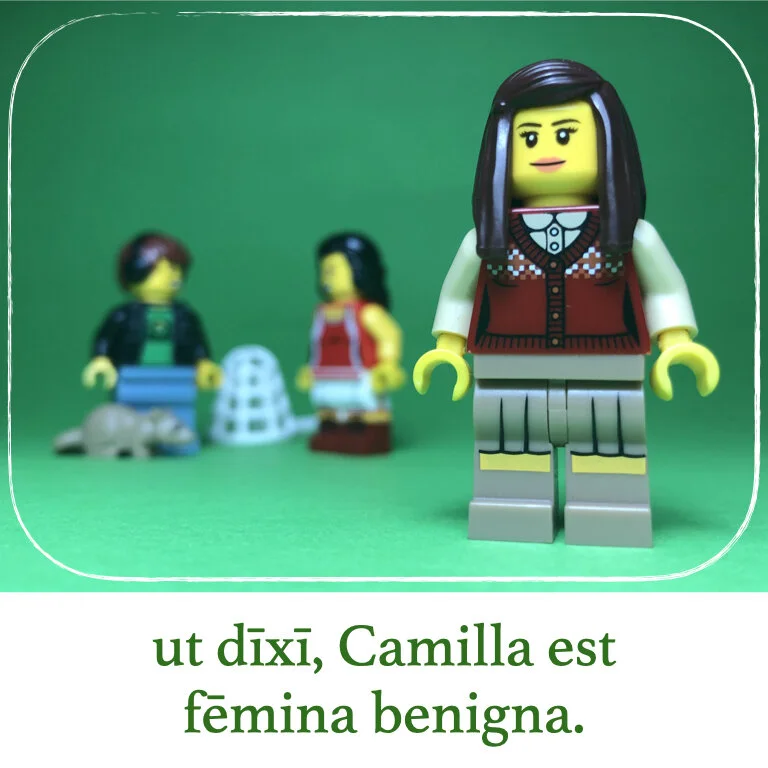 homines Legonii 13 - Camilla (macrons).019.jpeg