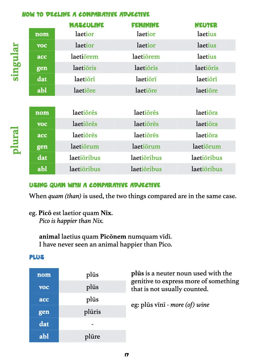 A Second Latin Grammar.019.jpeg