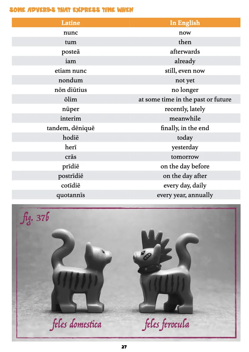 A Second Latin Grammar.029.jpeg