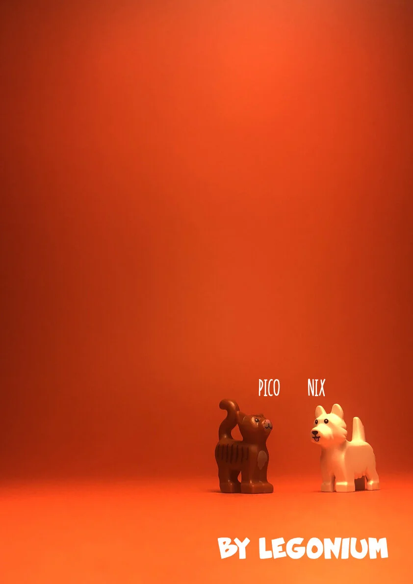 A Second Latin Grammar.040.jpeg