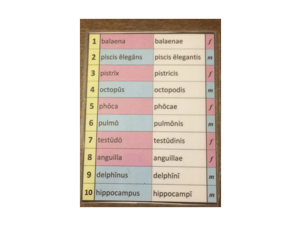 Using Games in Latin Learning.007.jpeg