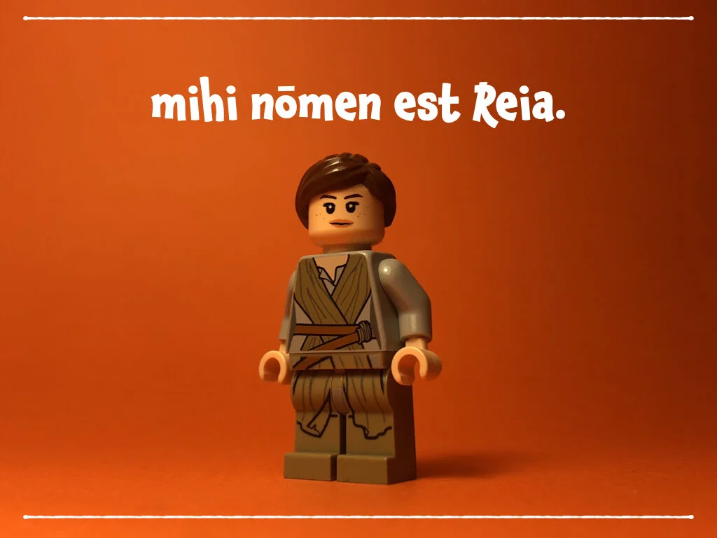 spes nova BS.003.jpeg