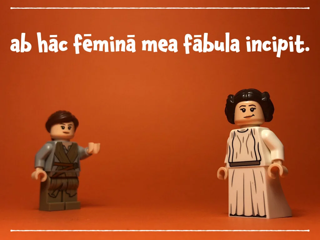 spes nova BS.006.jpeg