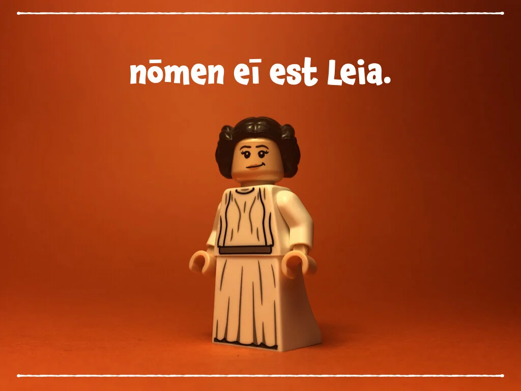 spes nova BS.007.jpeg