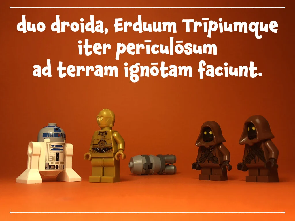 spes nova BS.013.jpeg