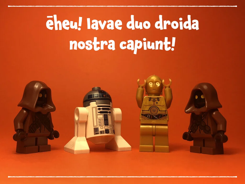 spes nova BS.015.jpeg