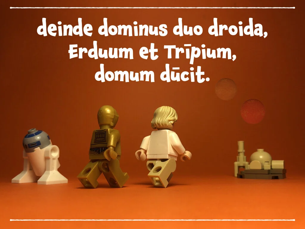 spes nova BS.020.jpeg