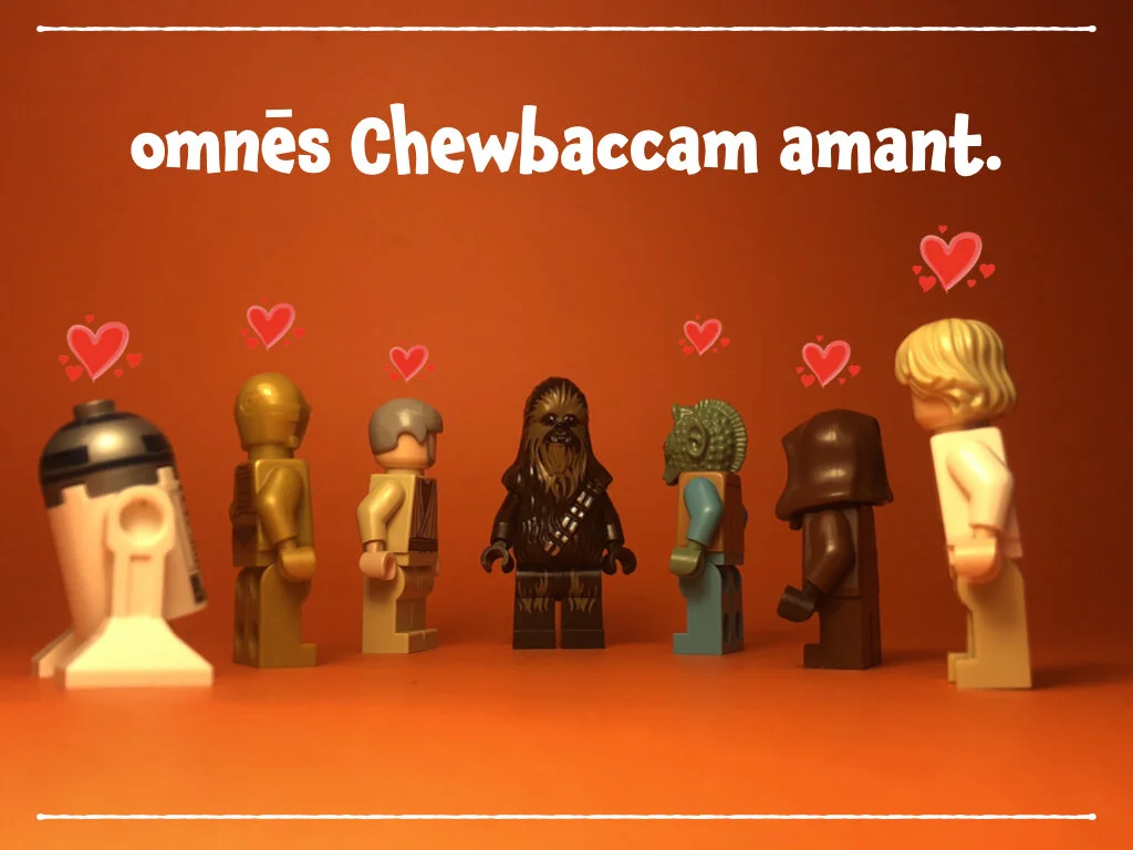 spes nova BS.047.jpeg