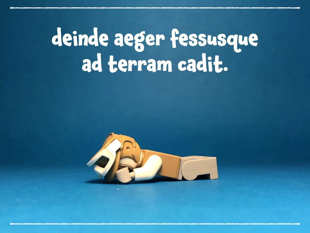 imperium referit - BS.017.jpeg