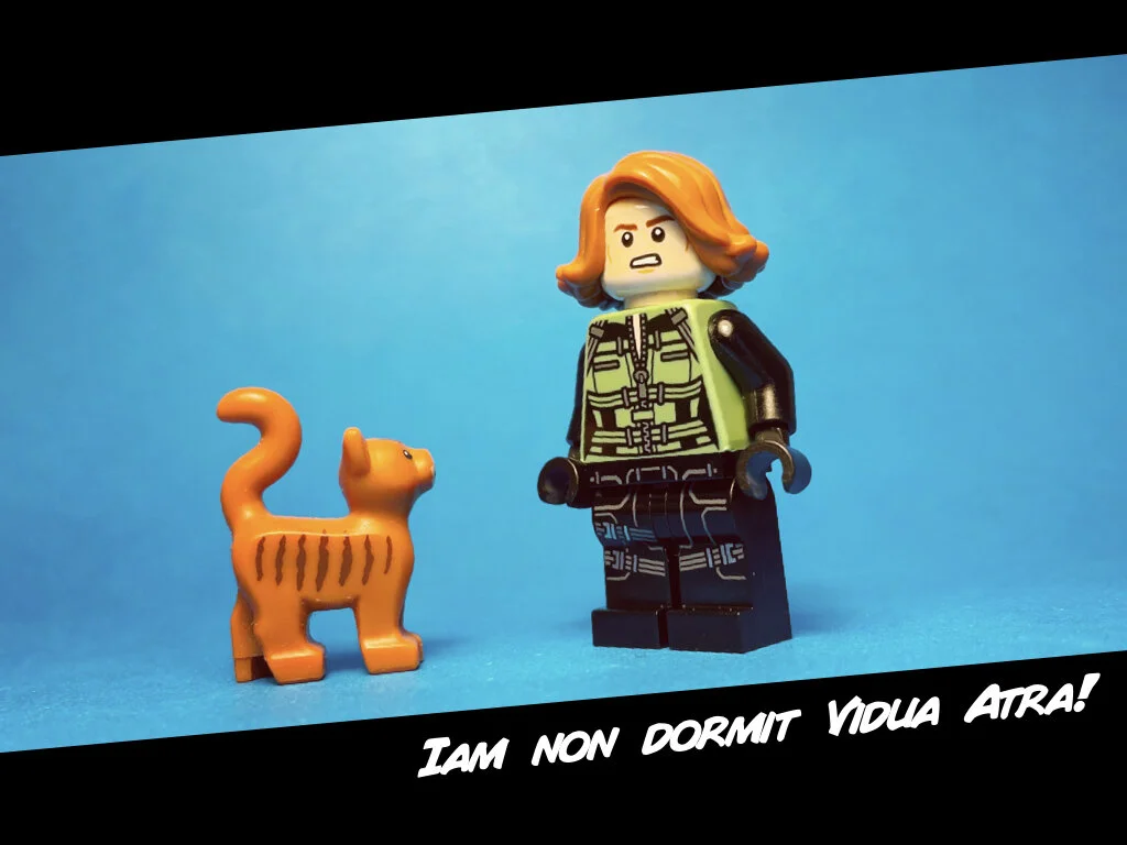 LLPS 3 - bellum civile.044.jpeg