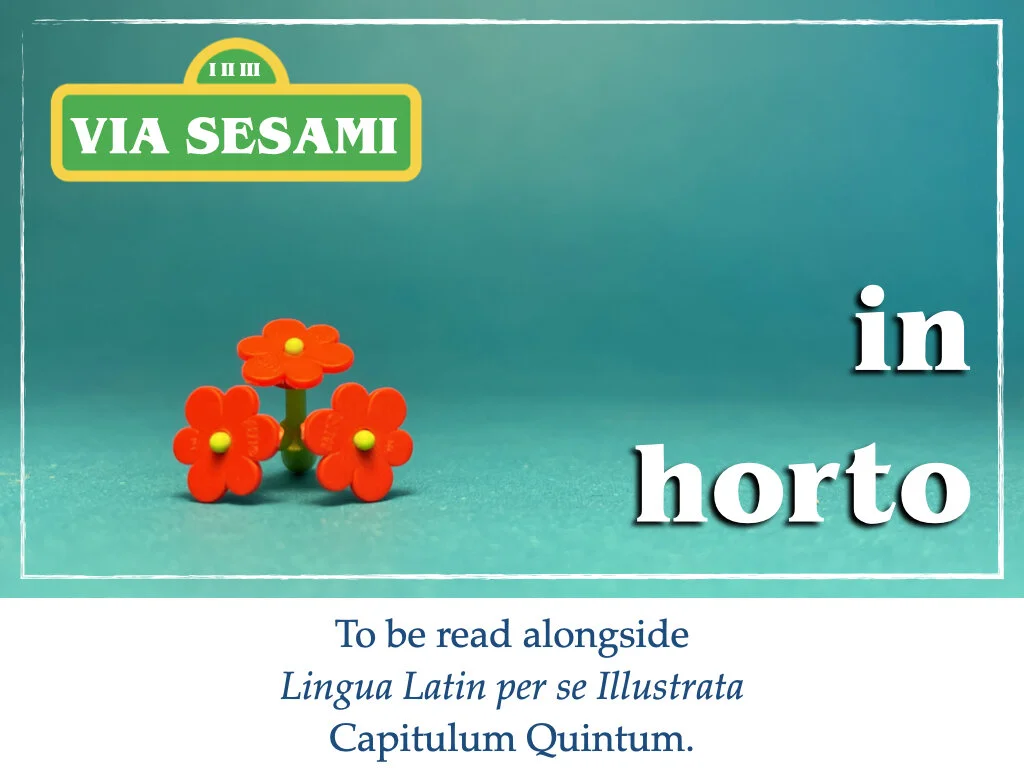 in horto tres rosae.001.jpeg