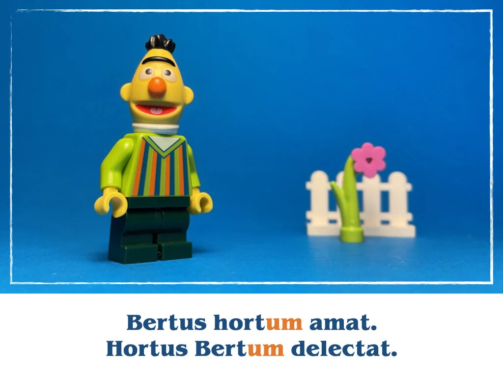 in horto tres rosae.006.jpeg