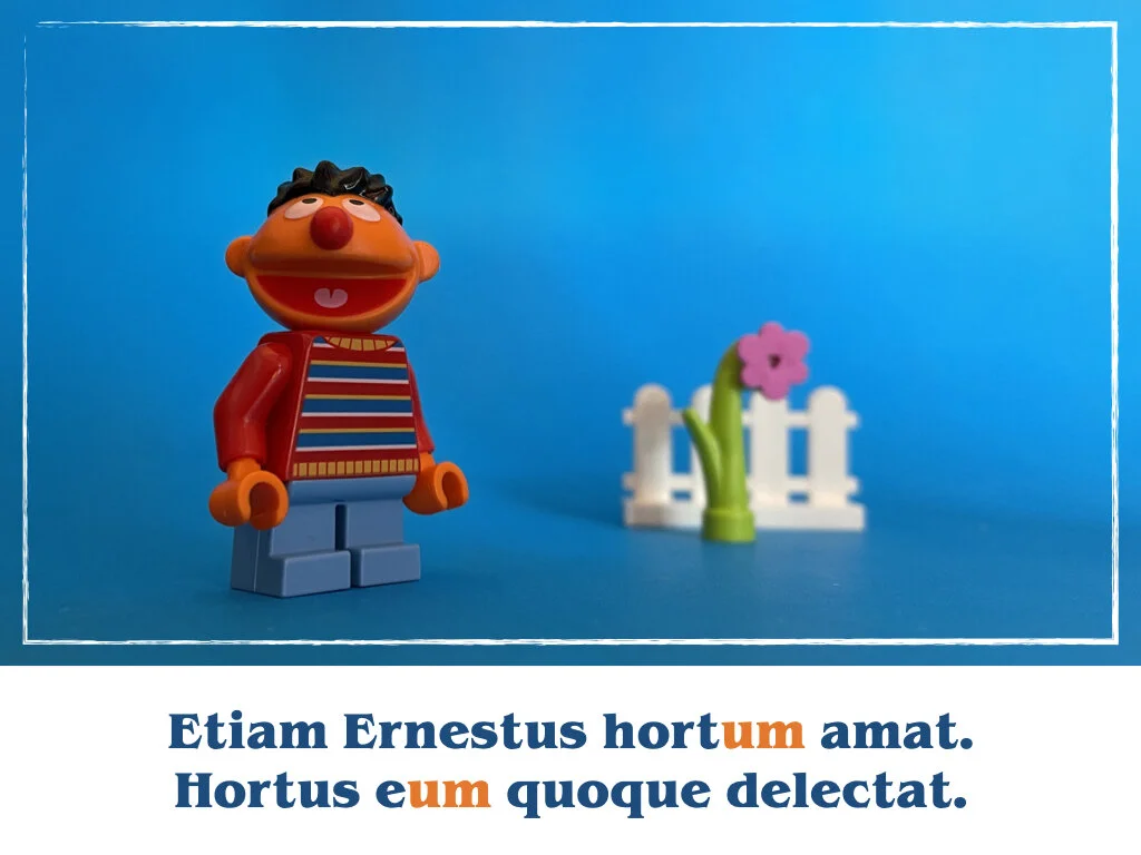 in horto tres rosae.008.jpeg