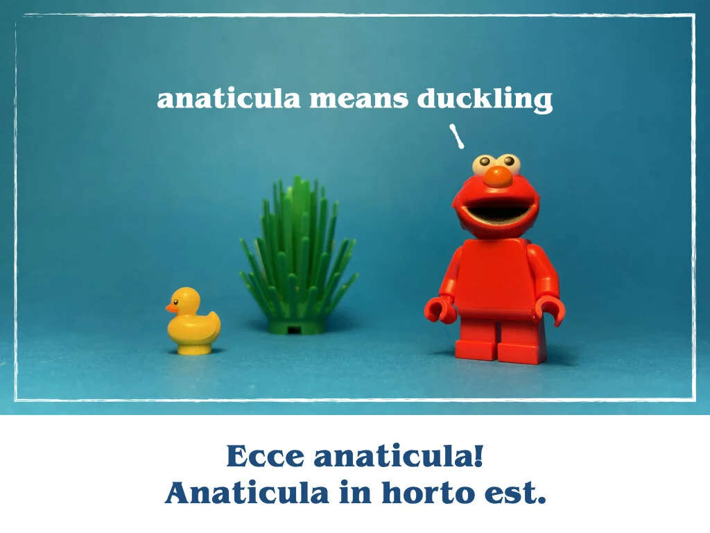 in horto tres rosae.012.jpeg