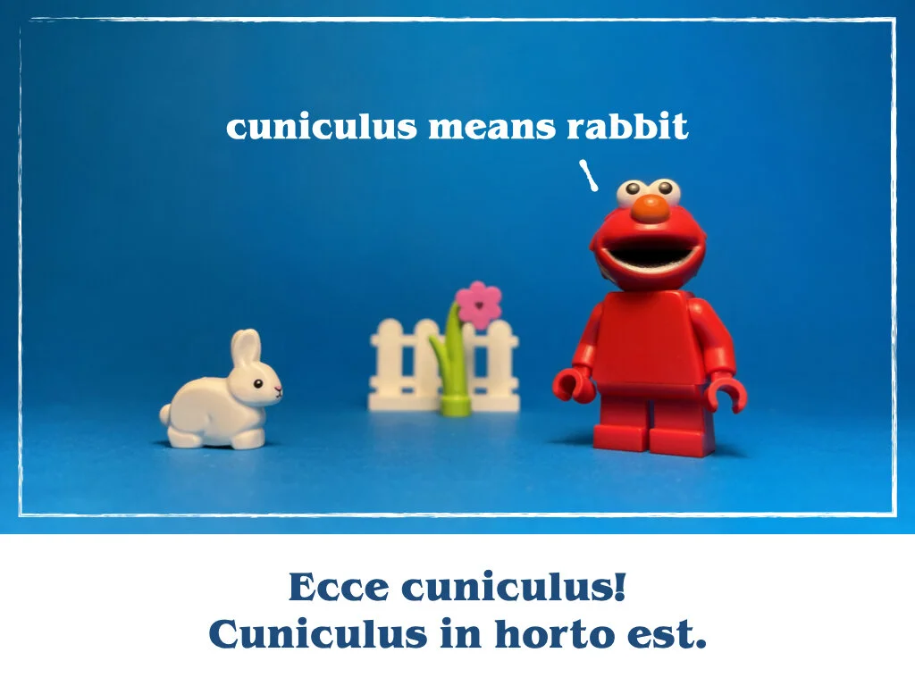 in horto tres rosae.014.jpeg