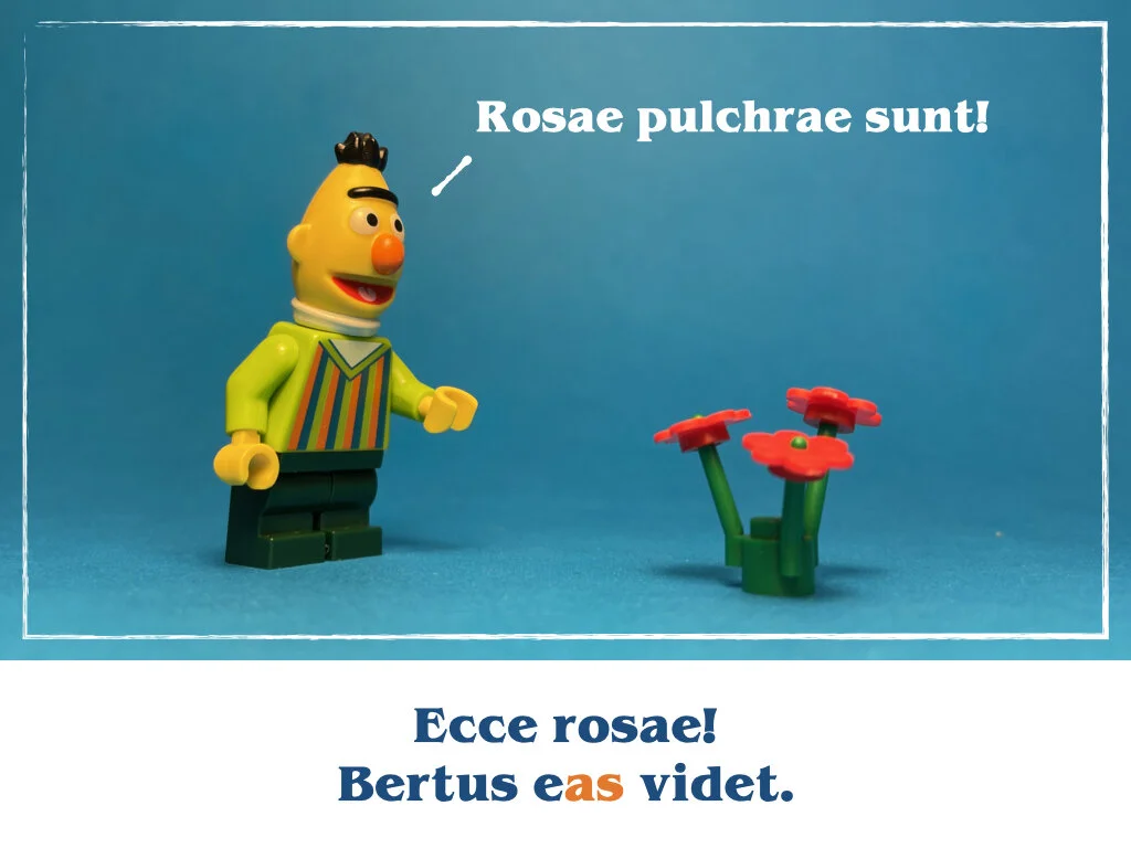 in horto tres rosae.017.jpeg