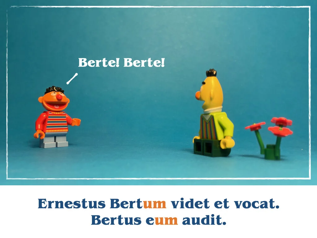 in horto tres rosae.021.jpeg