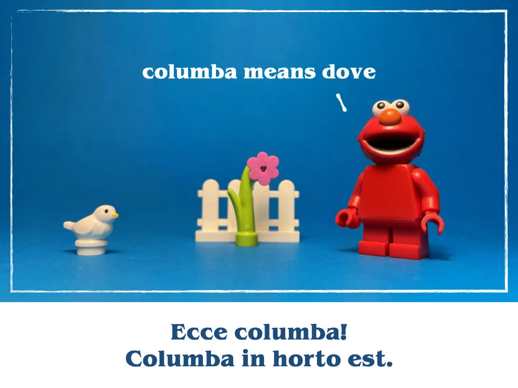 in horto tres rosae.024.jpeg