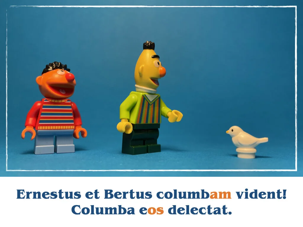 in horto tres rosae.025.jpeg