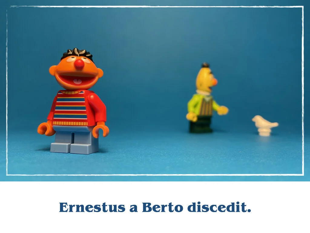 in horto tres rosae.027.jpeg