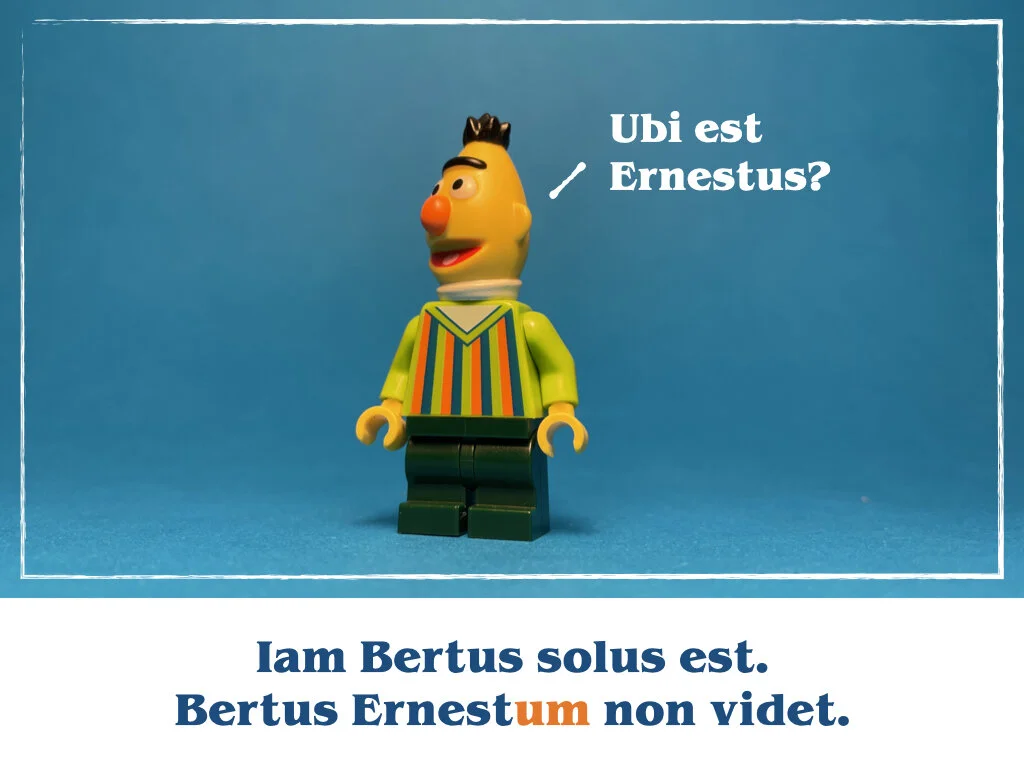 in horto tres rosae.030.jpeg