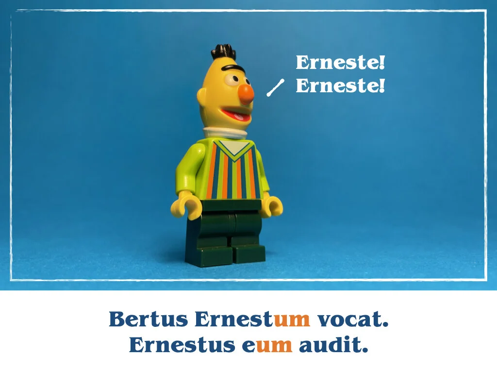 in horto tres rosae.031.jpeg