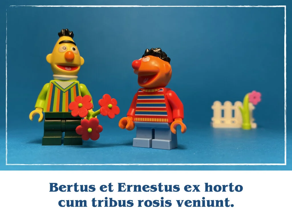 in horto tres rosae.034.jpeg