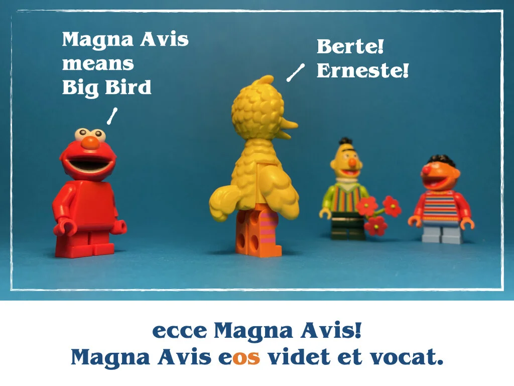 in horto tres rosae.035.jpeg