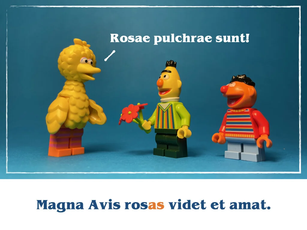 in horto tres rosae.036.jpeg