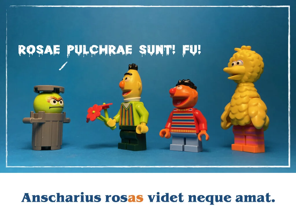 in horto tres rosae.037.jpeg