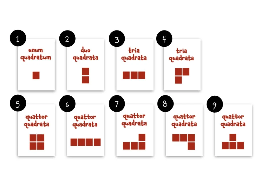 Provincia Rules in Brief.007.jpeg
