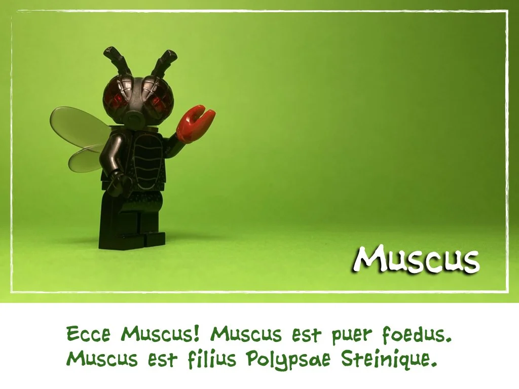 familia monstrifica.005.jpeg