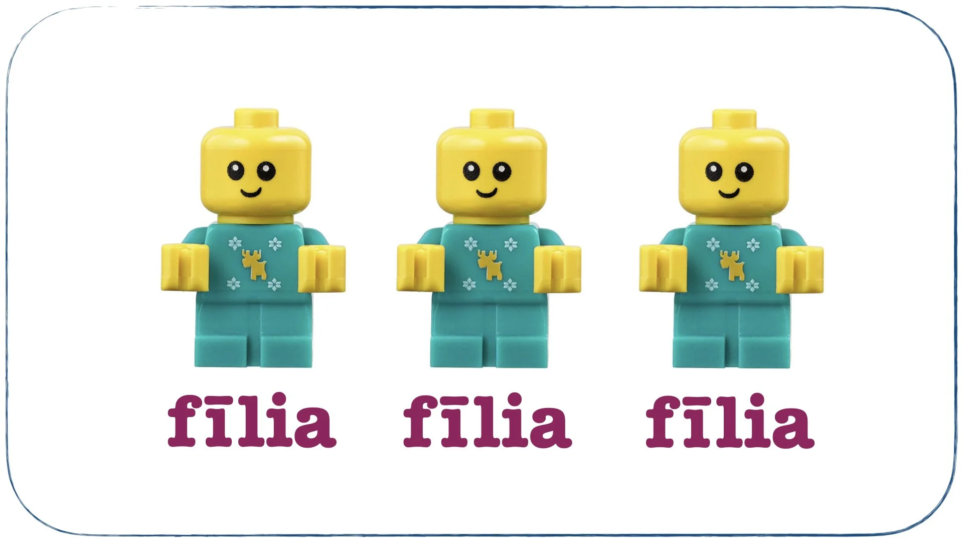 recte prave.007.jpeg