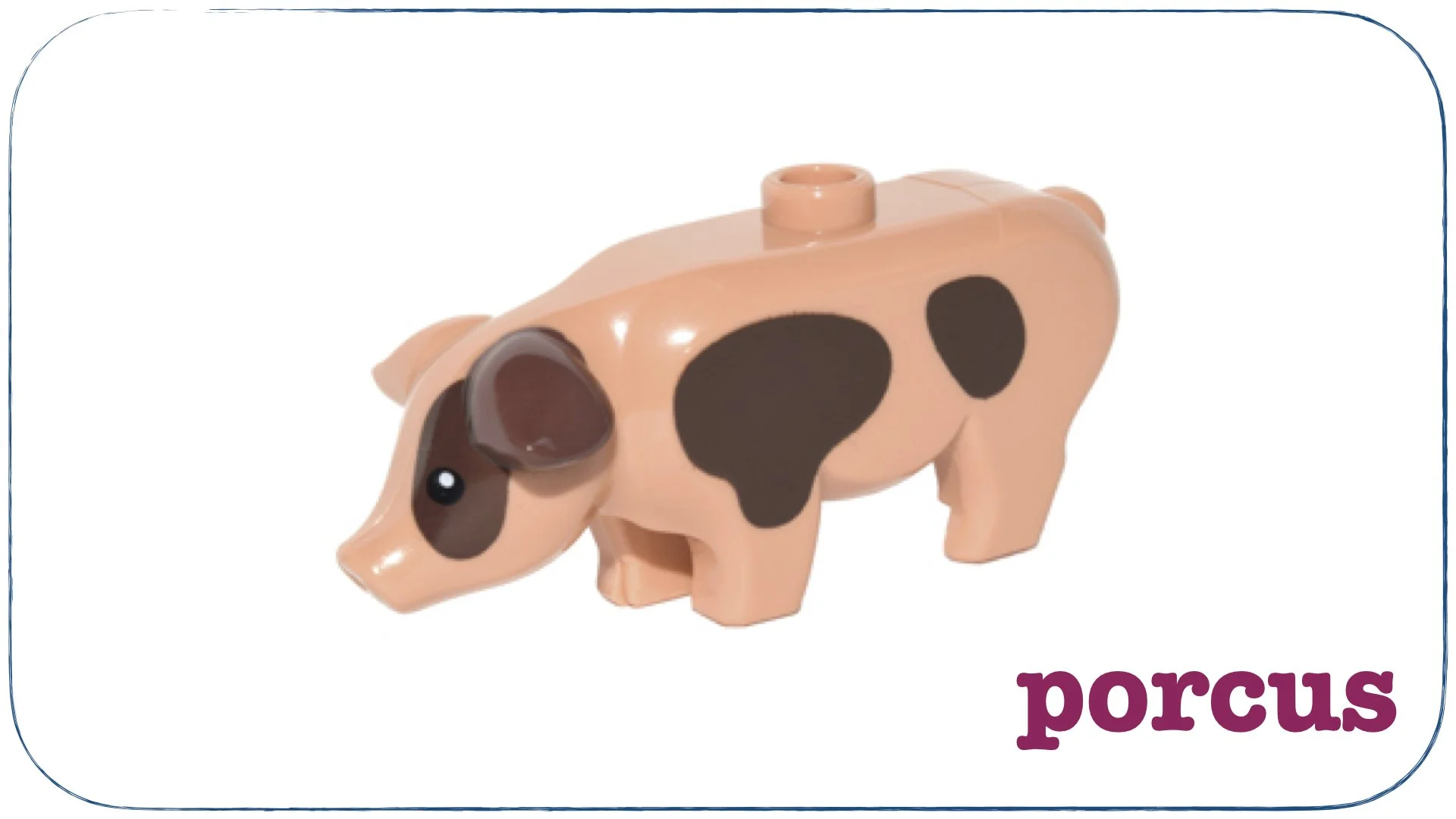 recte prave.011.jpeg