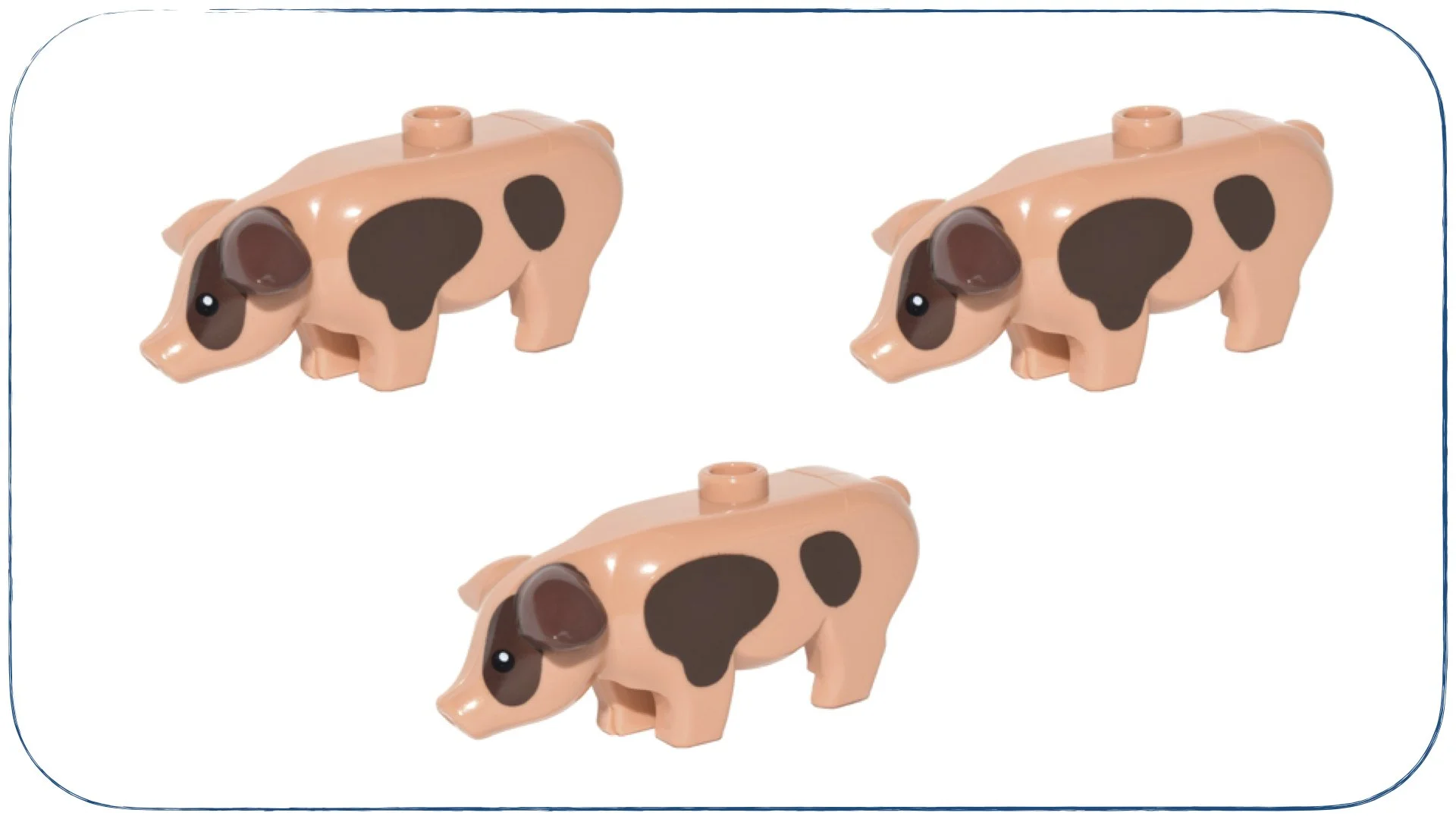 recte prave.013.jpeg