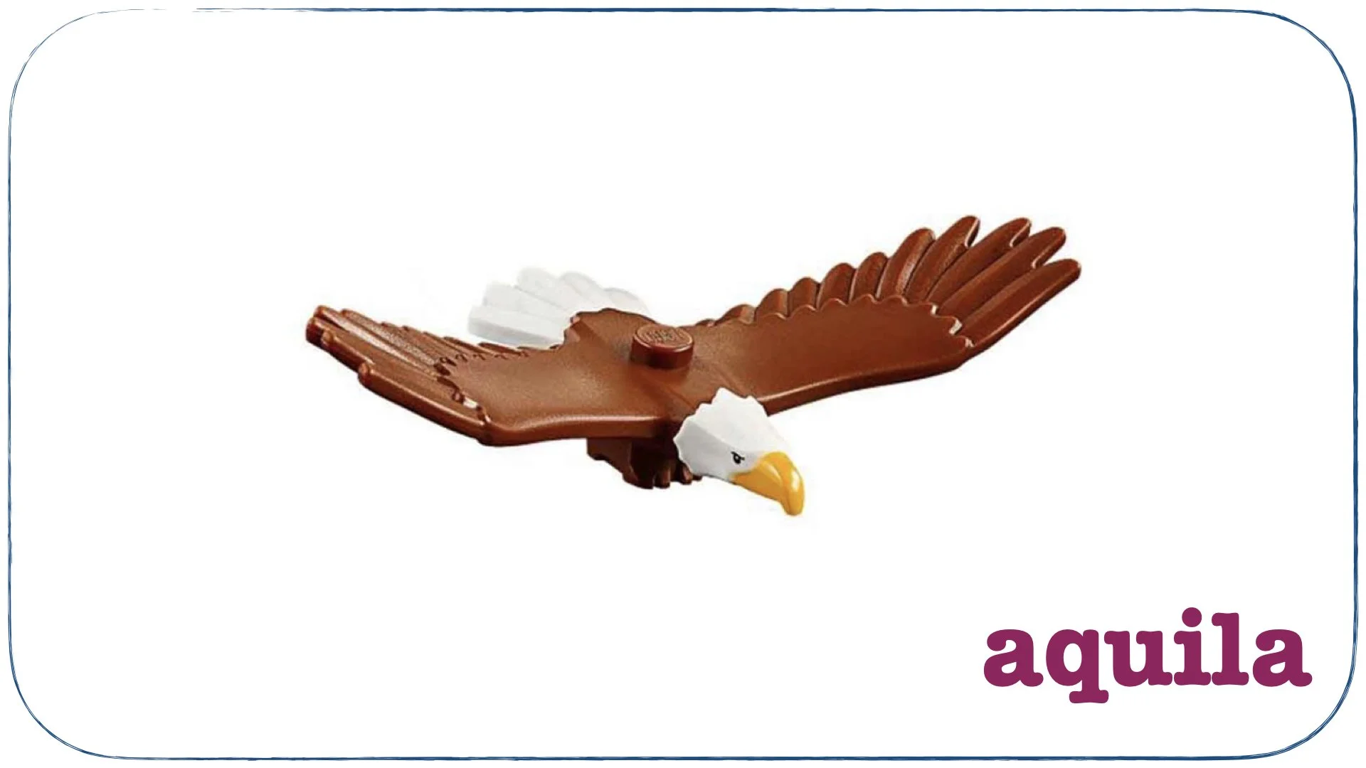 recte prave.026.jpeg