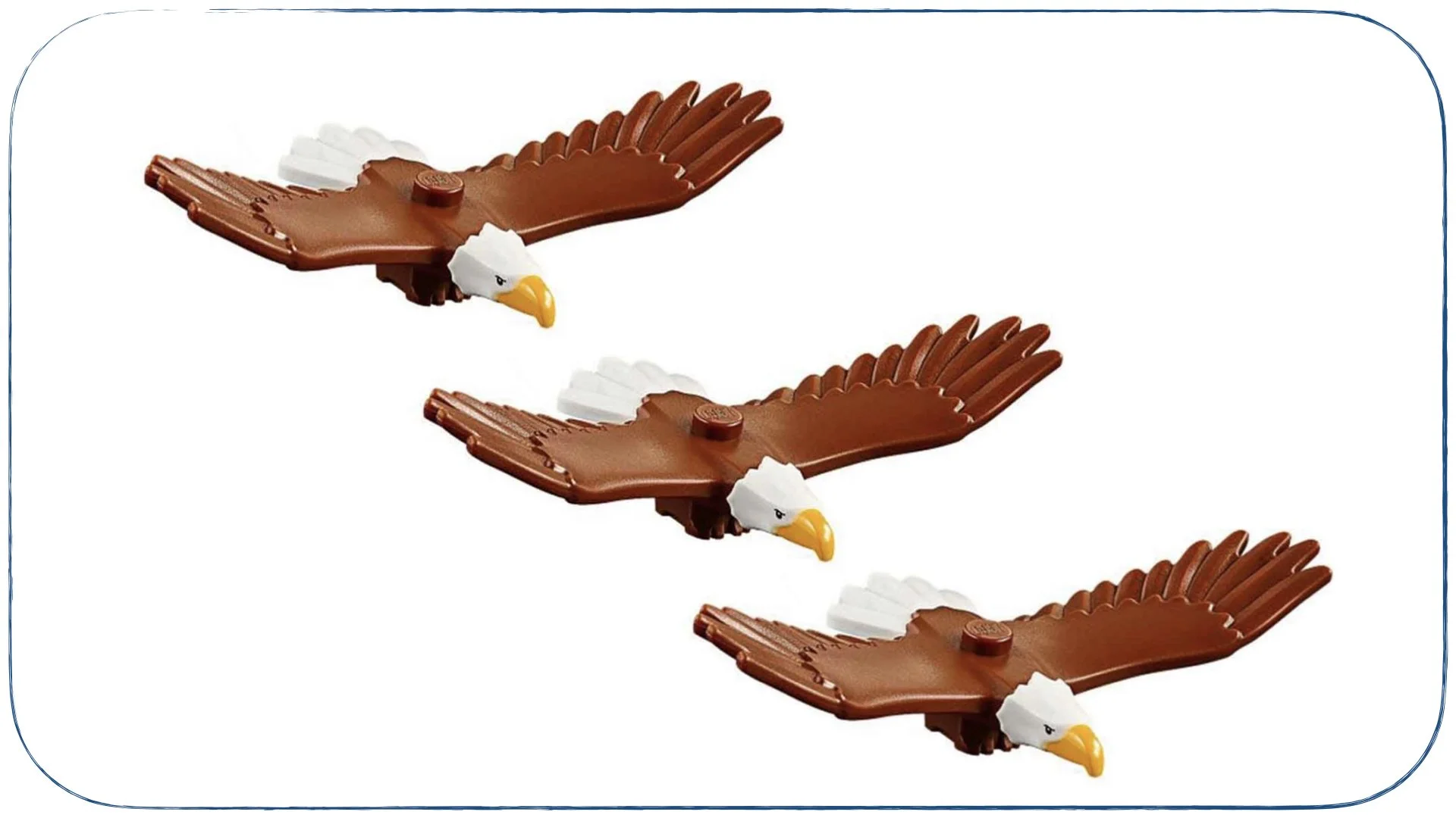 recte prave.028.jpeg