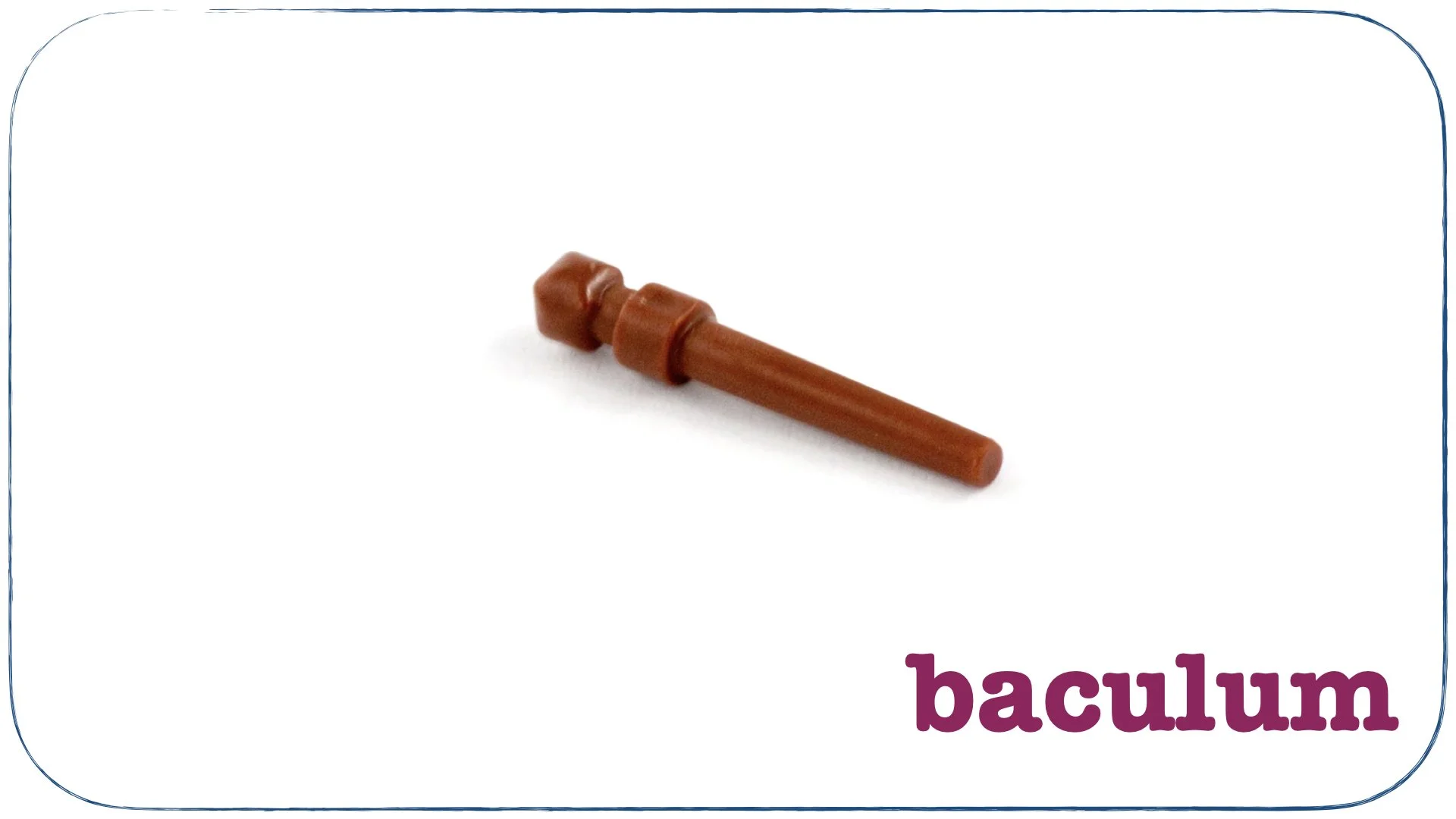 recte prave.063.jpeg