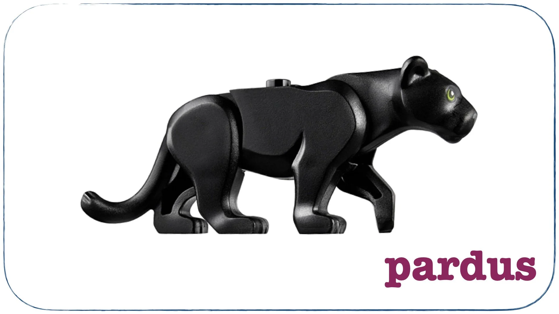 recte prave.087.jpeg