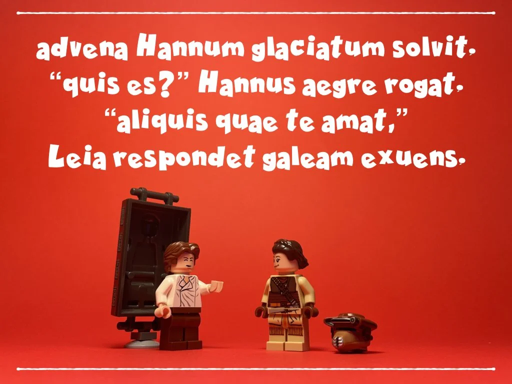 reventus iediorum.016.jpeg