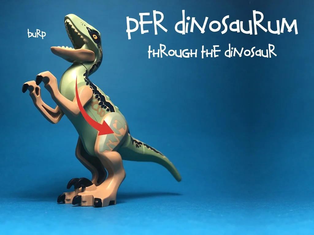 The Caveman for Website.018.jpeg