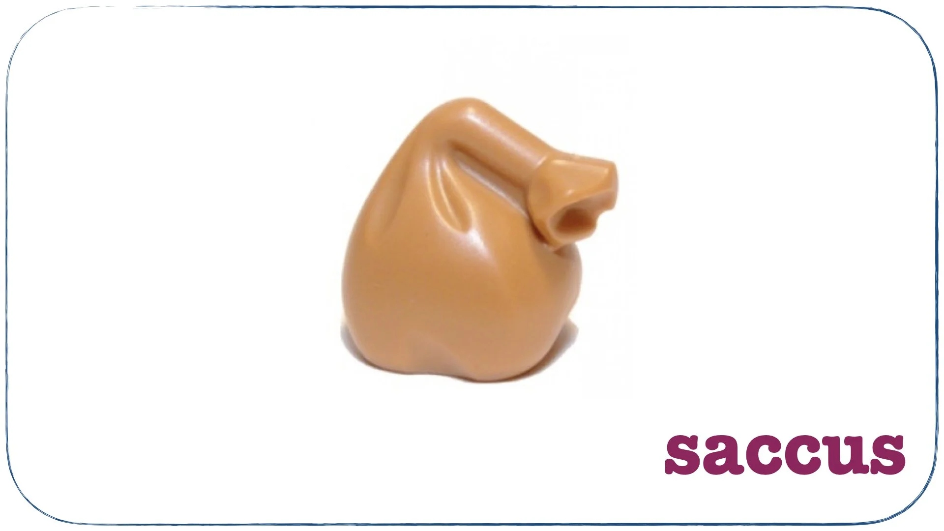 LLPSI First Words Prima Verba.005.jpeg