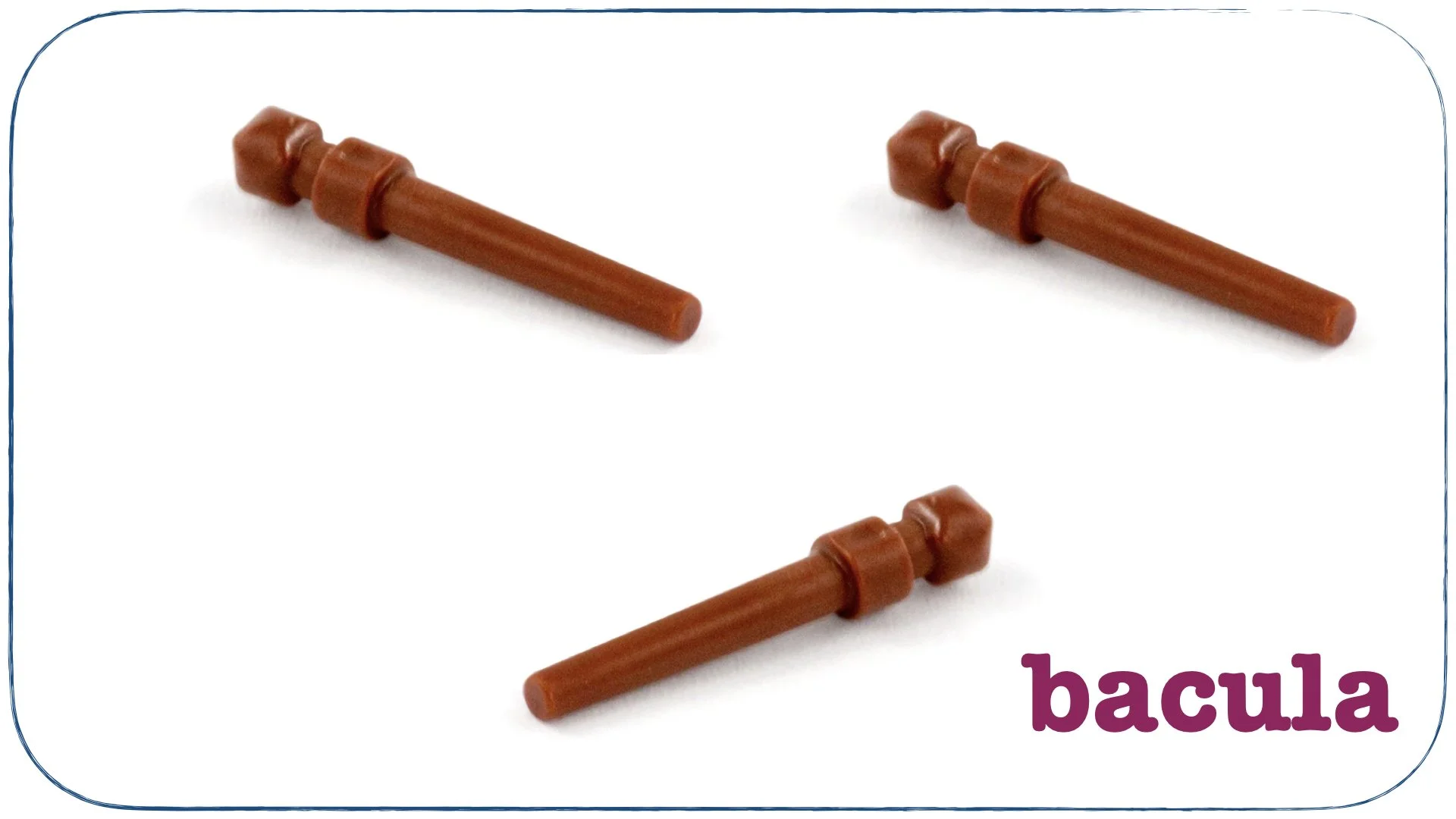 LLPSI First Words Prima Verba.055.jpeg