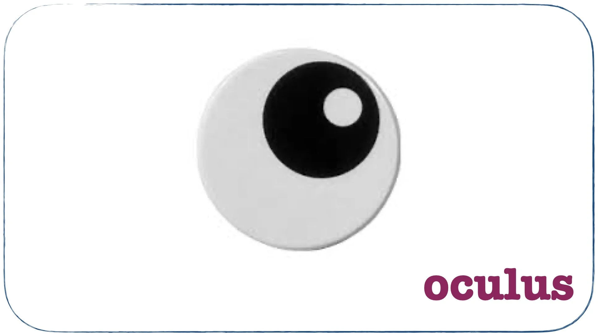 LLPSI First Words Prima Verba.077.jpeg