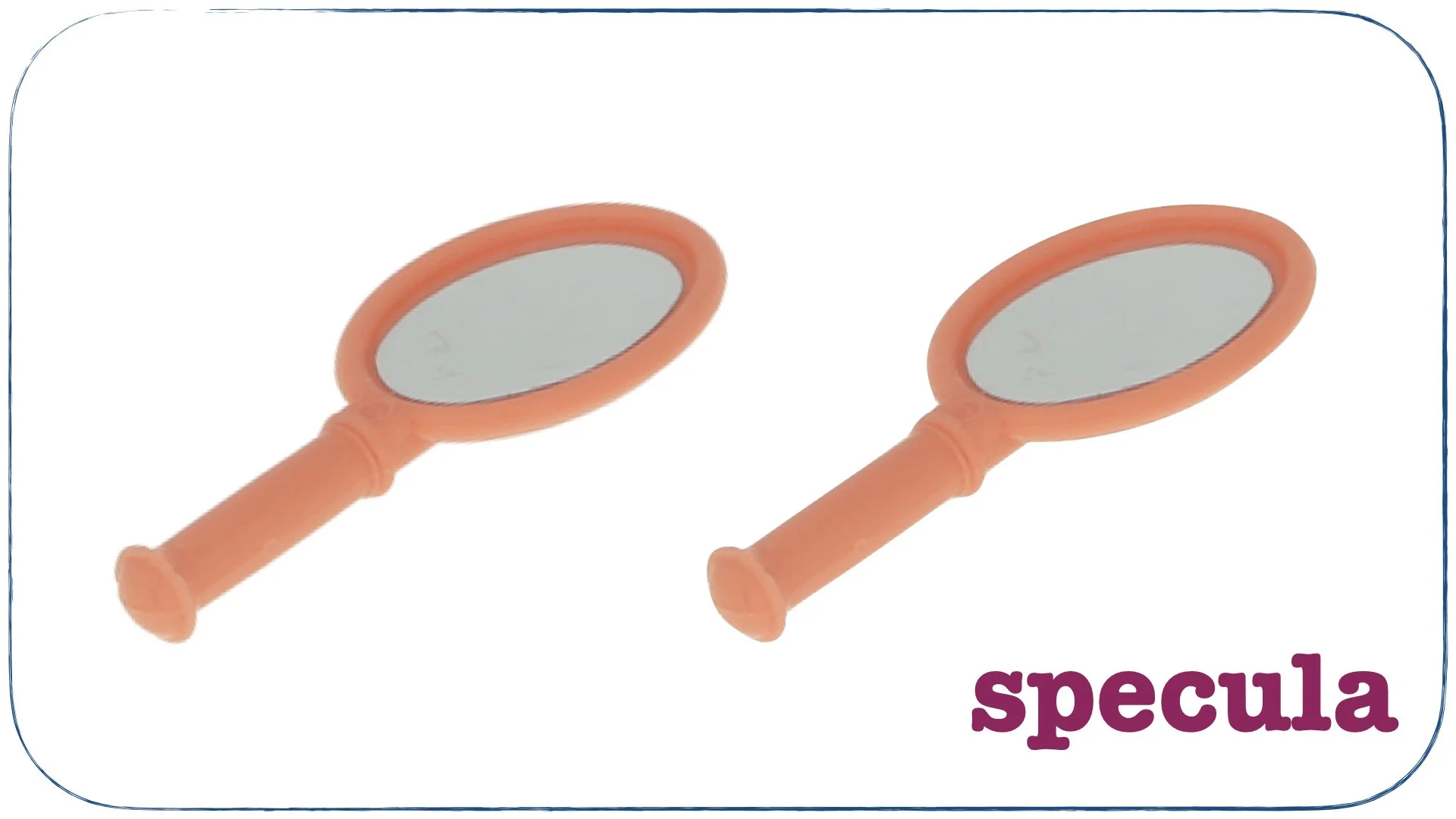 LLPSI First Words Prima Verba.081.jpeg