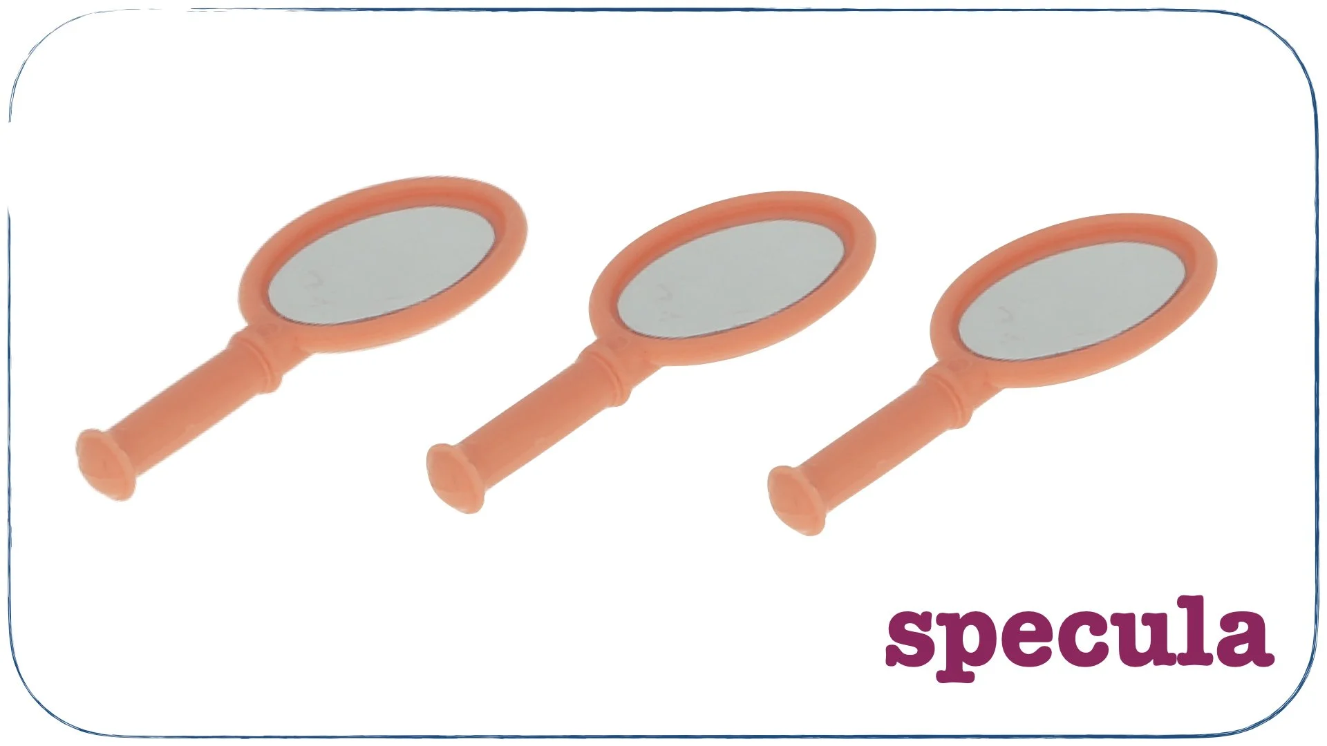 LLPSI First Words Prima Verba.082.jpeg