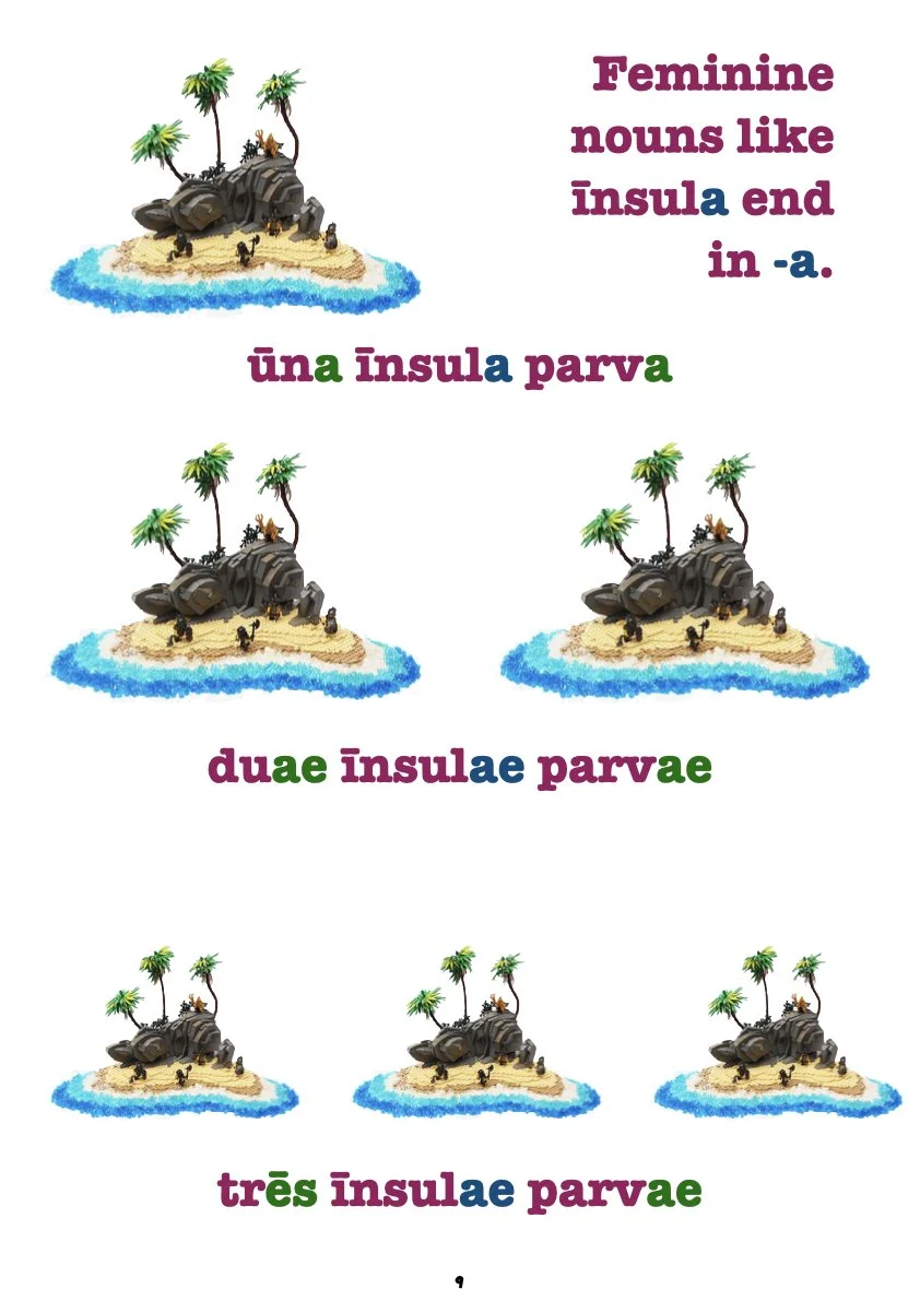 Handy Latin Tables pars prima.010.jpeg