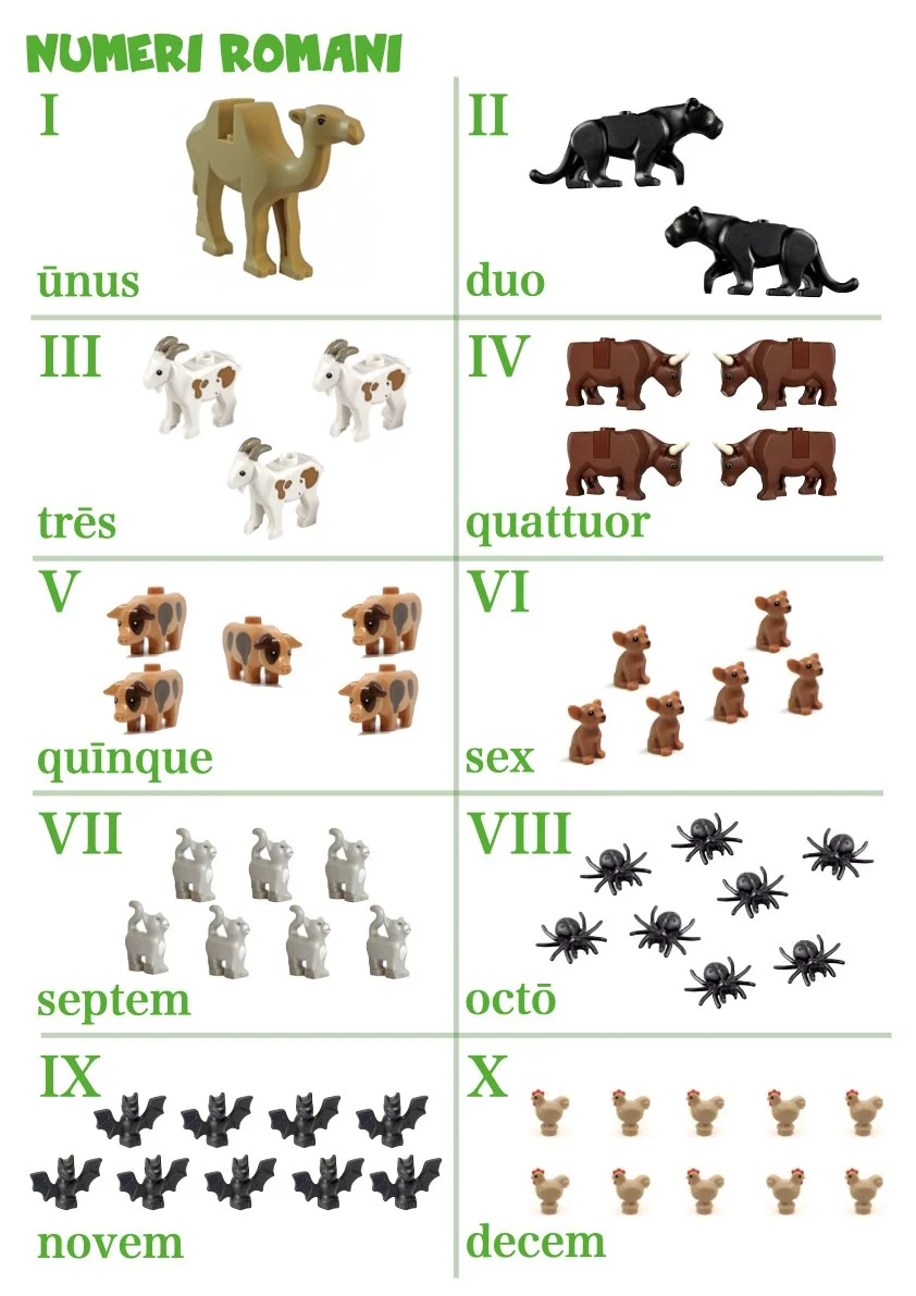Handy Latin Tables pars prima.005.jpeg